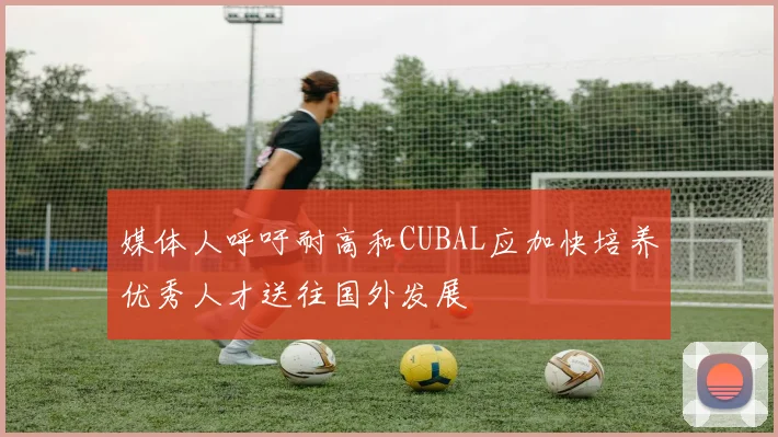 媒体人呼吁耐高和CUBAL应加快培养优秀人才送往国外发展