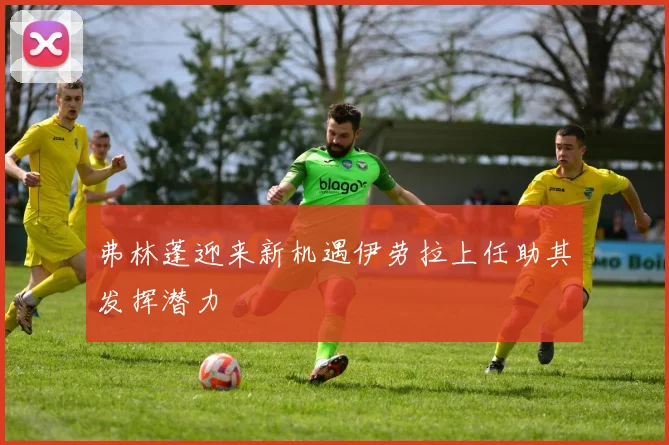 弗林蓬迎来新机遇伊劳拉上任助其发挥潜力